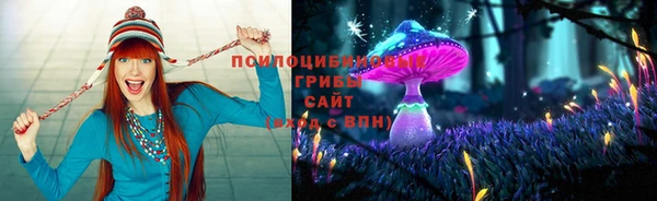 бошки Беломорск