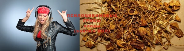 прущие крисы Белокуриха