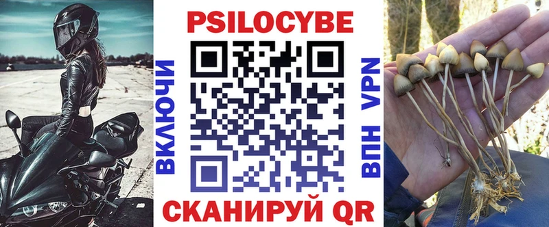 Псилоцибиновые грибы Cubensis  Биробиджан 